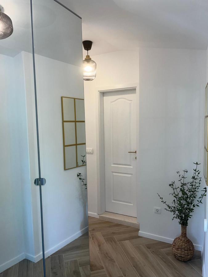 Apartment Modern Olive 30 Meters From The In Duce